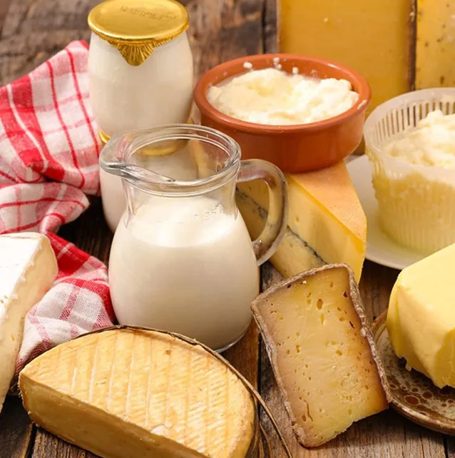 LactoPlus Bileşen Çözümleri